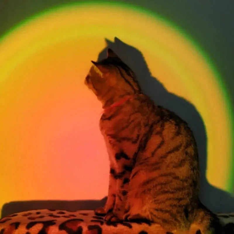 Solnedgangslampe, kan fjernbetjenes (med fjernbetjening og smartphone)