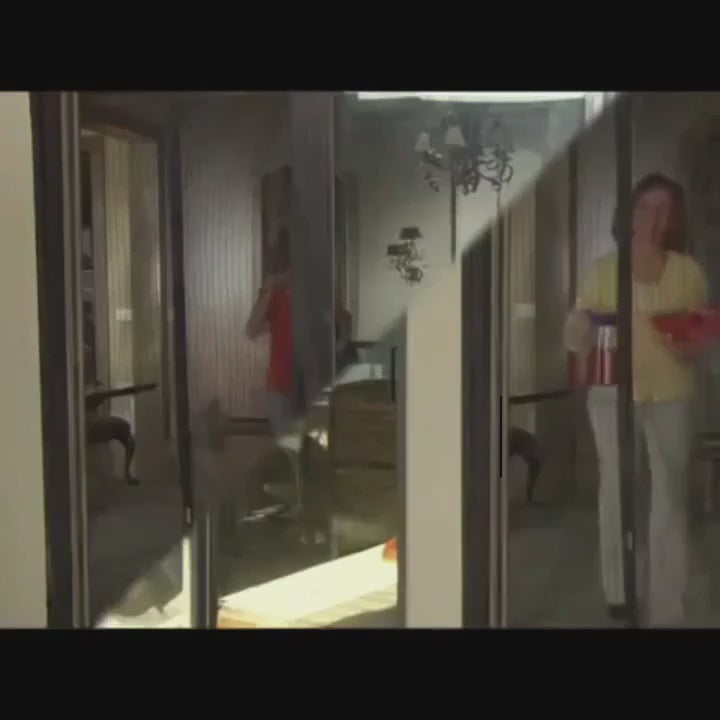 Magnetisk skærm til døre og indgange: Automatisk lukning